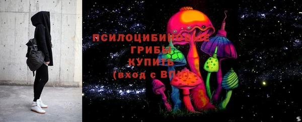 apvp Магадан