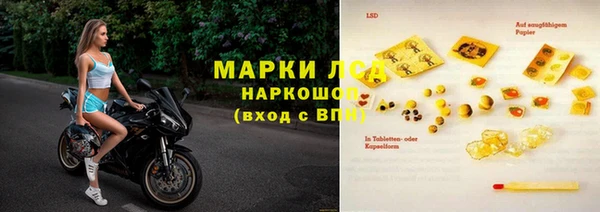 apvp Магадан