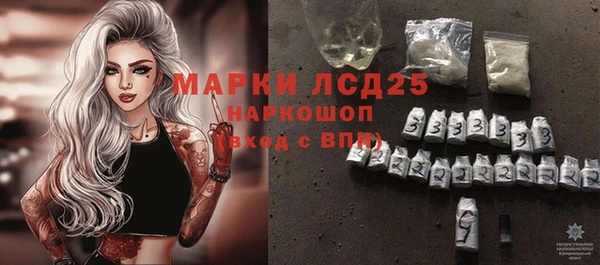 хмурый Лиски