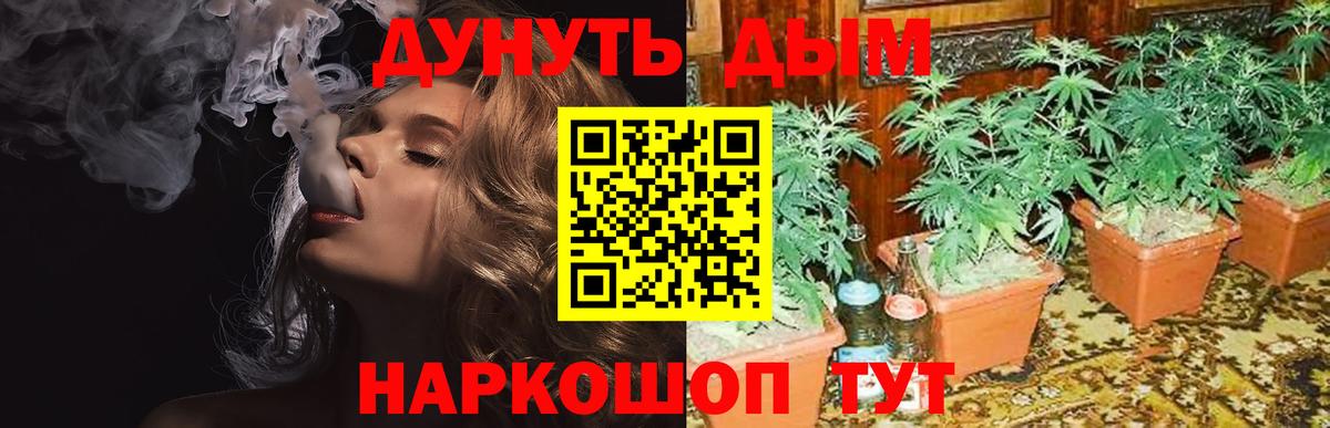 Каннабис тримм  Бошки Шишки THC 21%  Дивногорск  Вход с VPN  Конопля THC 21% 
